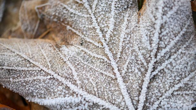 Wetter: Hydrologe: Winter trotz des Schnees deutlich zu trocken