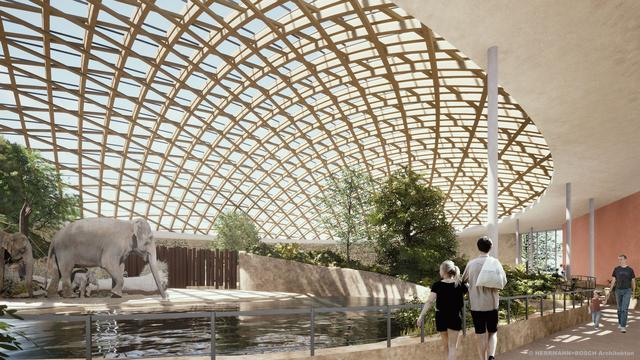 Stuttgarter Zoo-Projekt: Mehr Platz für Tiere – warum die 