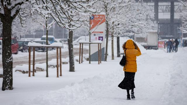 Schnee auf den Bäumen: Nürnberg und Würzburg schließen Friedhöfe