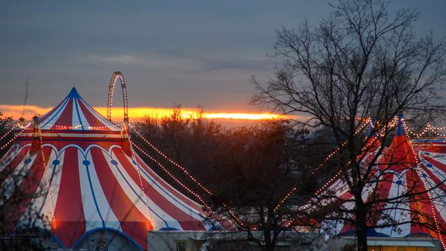 Prozesse: Urteil: Gericht legt Gema-Gebühren für Zirkus fest