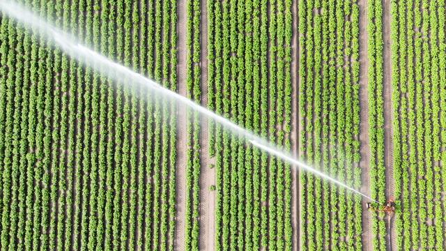 Neues Wassergesetz: Landwirte in MV zahlen künftig für Beregnung ihrer Äcker