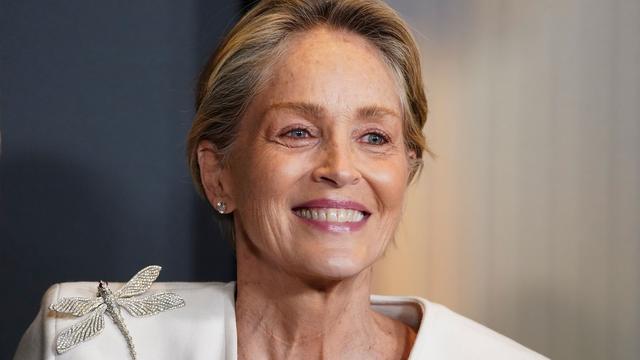 Feste: US-Star Sharon Stone kommt zum Wiener Opernball