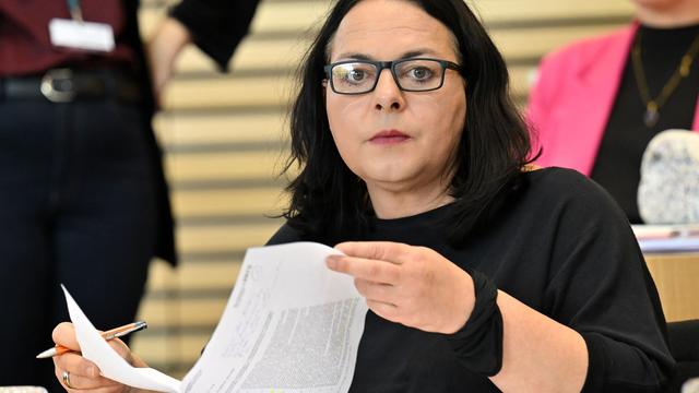 Landtag: AfD-Verbotsverfahren prüfen? Anhörung im Landtag geplant