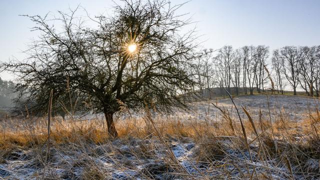 Wettervorhersage: Glätte in Berlin und Brandenburg - ruhige Verkehrslage