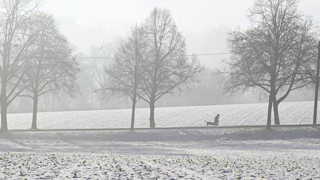 Wetterbericht: Wo im Südwesten Nebel, Schneegriesel und Glätte drohen