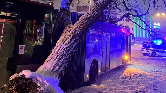 Hildesheim: Gelenkbus verkeilt sich mit Baum – Feuerwehr rückt aus