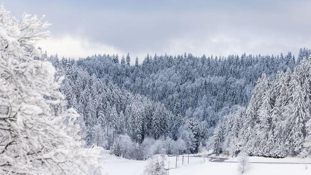 Wetter im Südwesten: Rodelspaß trotz Schneepause - Wo der Altschnee reicht