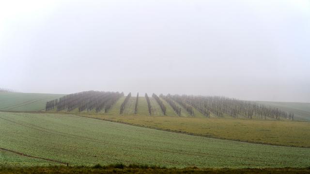 Monatswetter: Trockener Januar in Rheinland-Pfalz