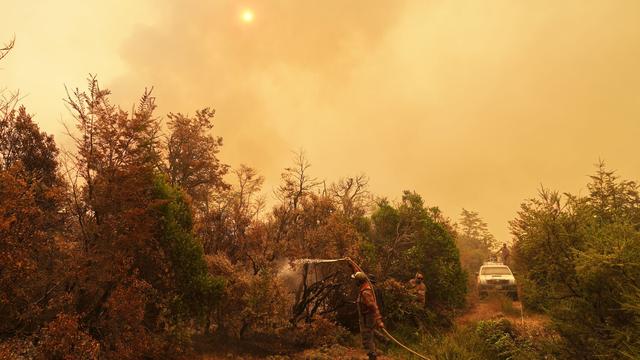 Notfälle: Waldbrände in Patagonien: Argentinien ruft den Notstand aus
