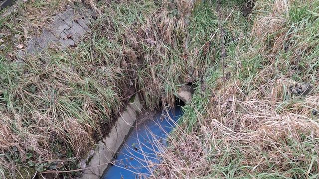 Umweltverschmutzung: Weiteres Gewässer verunreinigt: Schwarze Flüssigkeit in Bach