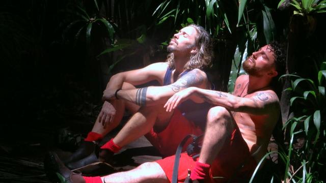 Dschungelcamp: Ein Überraschungsrauswurf - und immer wieder Ariel