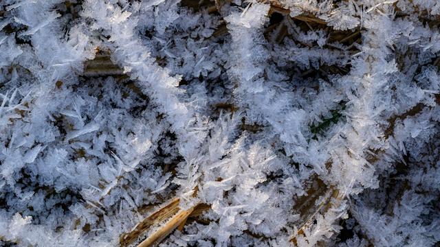 Wetter: Frostig in Berlin und Brandenburg - zweistellige Minusgrade
