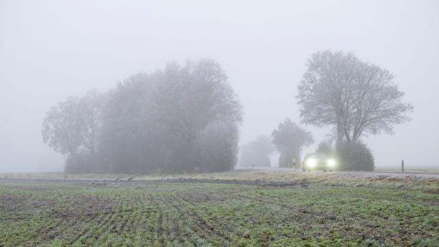 Wetter in Bayern: Nebel - und zuweilen Sonne