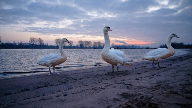 Wetterprognose: Glatte Straßen zum Wochenstart in NRW