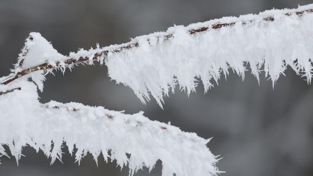 Wetter im Norden: Sturmböen und Schnee im Norden