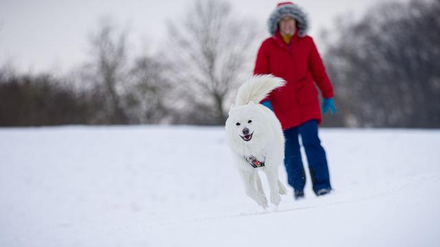 Wetter: Weiterhin eisige Temperaturen in Niedersachsen und Bremen