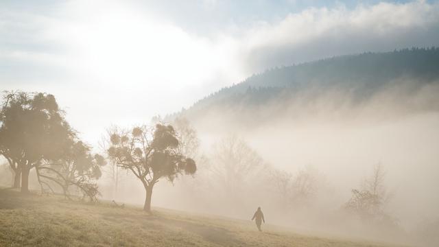 Wetter: Wo es im Südwesten frühlingshaft wird - oder trüb bleibt