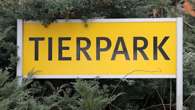 Tierseuche: Vogelgrippe: Tierpark Chemnitz muss zahlreiche Vögel töten
