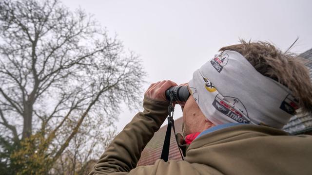 Brutvögel: Was piept denn da?