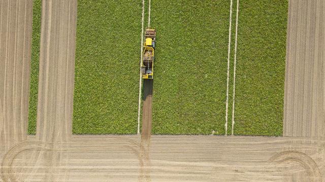 Agrar: Grüne fordern Pachtpreisbremse für Hessens Landwirtschaft