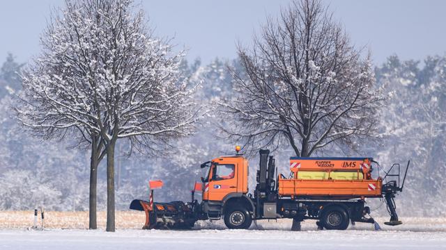 Naturschutz: Naturschützer: Streusalz im Winter schädigt Bäume im Sommer