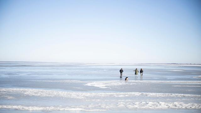 Frost an der Ostsee: Eis so weit das Auge reicht: Frost und Wind verwandeln Küste