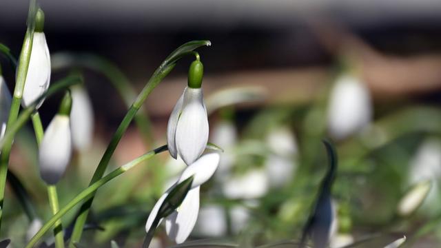 Vorhersage: Frühlingshafte Temperaturen in NRW erwartet
