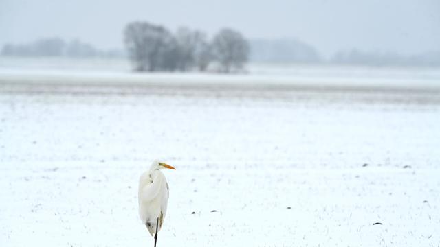 Wetter: Glatteis und Regen erwartet – Wetter bleibt ungemütlich