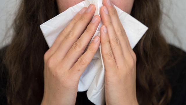 Gesundheit: Grippewelle in Sachsen: Infektionszahlen auf hohem Niveau