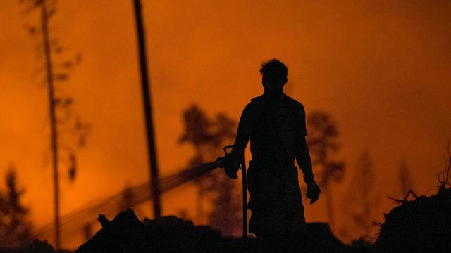 Auswertung vorgelegt: Landesforstanstalt zählt 49 Waldbrände für 2025