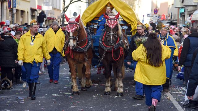 Tierschutz-Debatte: Pferde beim Rosenmontagszug in Köln? Ein Pro & Contra