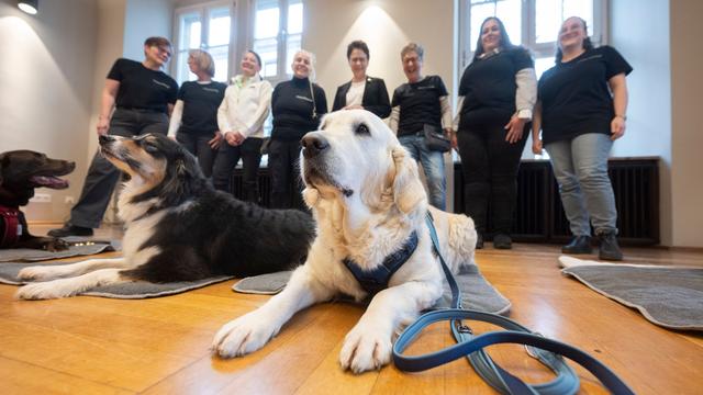 Tiere als Unterstützung: Vier Pfoten gegen die Angst: Wie Hunde vor Gericht helfen
