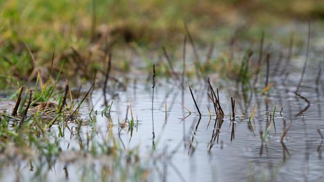 Hochwassergefahr: Vorwarnung vor Hochwasser: Dauerregen trifft Region um Donau