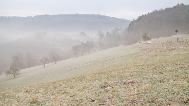 Prognose: Unwetterwarnung: Dauerregen und Hochwassergefahr im Land