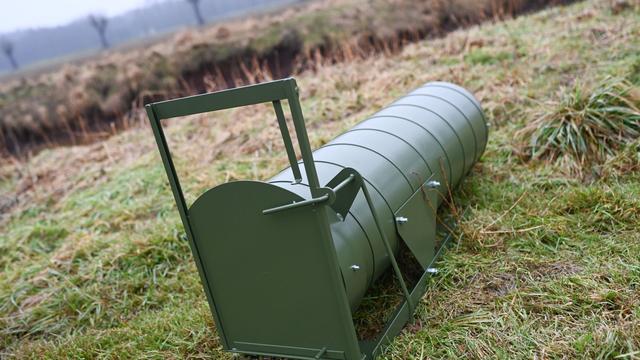 Jagd: Zu viele Nutrias - Landkreis gibt 150.000 Euro für Fallen