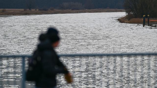 Gestiegener Wasserstand: An der Oder in Frankfurt besteht Hochwassergefahr