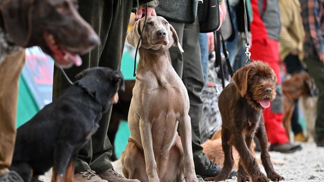 Messe Erfurt: Jagen oder reiten - Freizeitmesse im Frühling