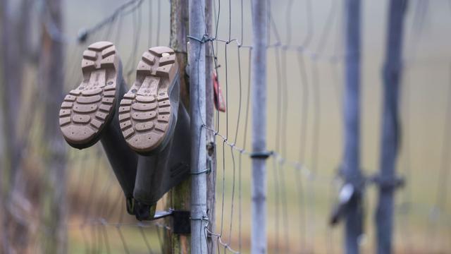 Wettervorhersage: Regen ohne Pause? Was jetzt auf Baden-Württemberg zukommt