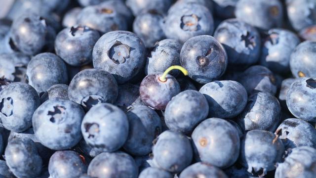 3.845 Tonnen Strauchbeeren: Heidelbeer-Rekord - aber Verband bei Aussicht verhalten