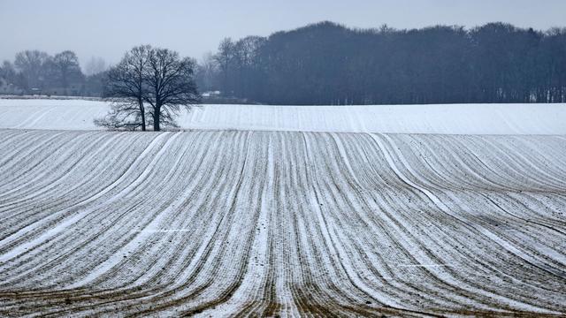 Wettervorhersage: Schnee in Sicht - ab Rosenmontag im Westen milder