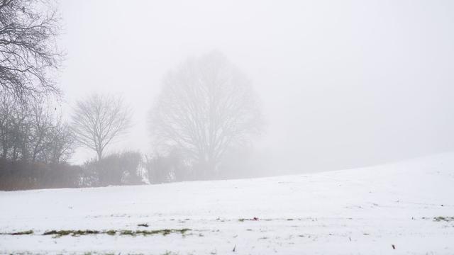 Wetter: Trübe Aussichten – Schneefall und Frost am Wochenende