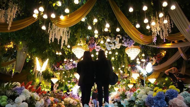 Fotografie: Bilder des Tages