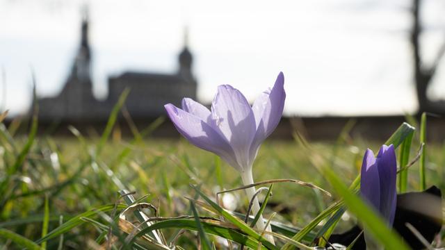 Wetter: Sonne am Sonntag, Schneefall zum Wochenstart in Sachsen