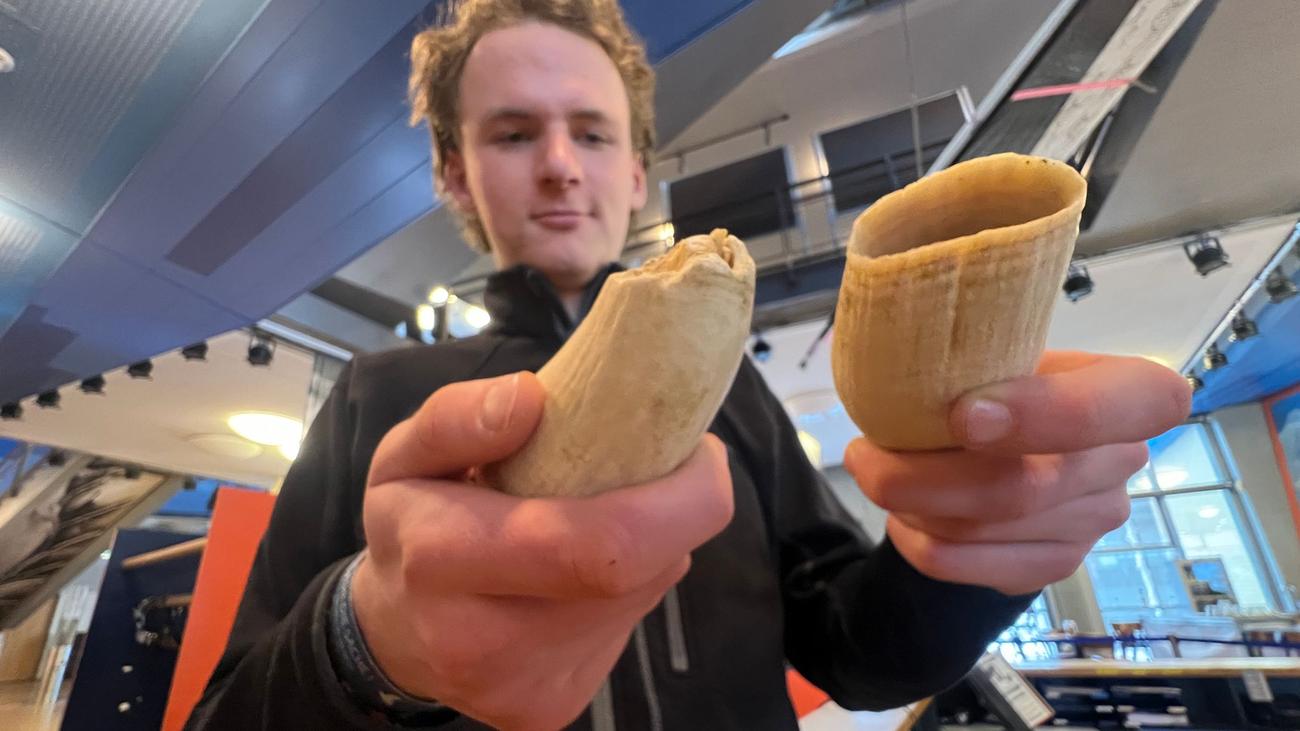 Toter Wal auf Sylt: Sylt-Wal hatte Tintenfisch im Magen und Parasiten im Speck