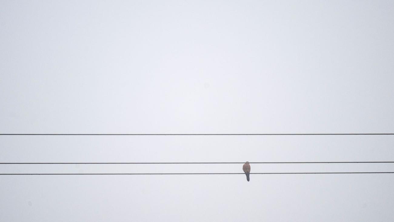 Faschingsendspurt: Von Gewitter bis Glätte – das Wetter in Bayern