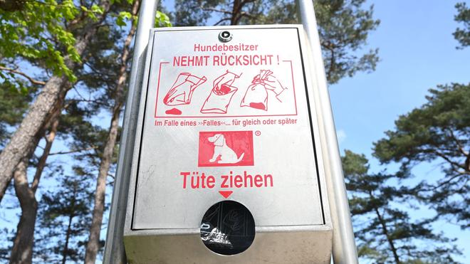 Kommunen und Sauberkeit: Hundekot kann die Quelle für die Übertragung von Krankheiten sein. (Symbolbild)