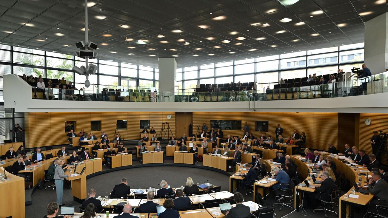 Umstrittene Abstimmung: Machtmittel Abgrenzung? Was Linke aus dem AfD-Votum folgern