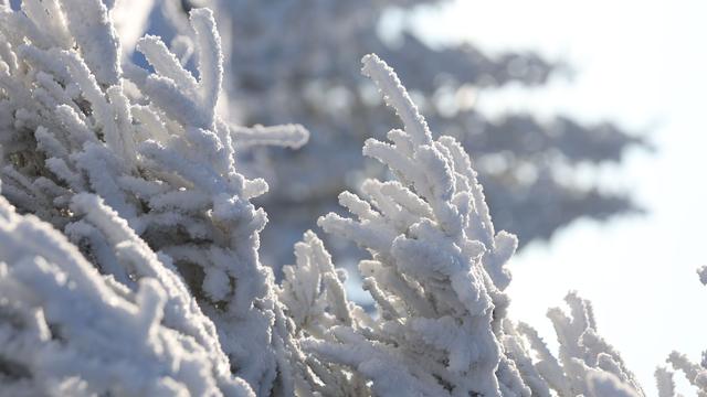 Wetter: Mischung aus Schnee und Regen in Sachsen-Anhalt