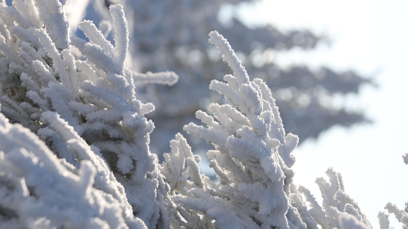 Wetter: Mischung aus Schnee und Regen in Sachsen-Anhalt