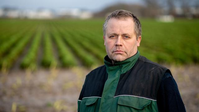 Grünkohlzeit: Schneefall beendet Grünkohlernte